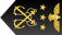 Colombia Navy Suboficial jefe técnico de comando insignia