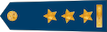 Insignia de Plukovník