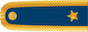 Insignia de Brigádní generál