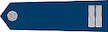 Czechia Air Force Nadrotmistr insignia