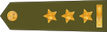 Insignia de Plukovník