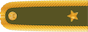 Insignia de Brigádní generál