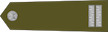 Insignia de Nadrotmistr