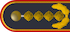 General insignia