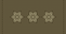 Insignia de Oberst