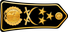 Algeria Air Force فريق Fariq insignia