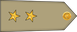 Algeria Army ملازم أول Mulāzim 'awwal insignia