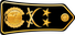 Algeria Army لواء Liwāʾ insignia