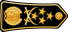 Algeria Army فريق أول‎‎ Farīq 'awwal insignia