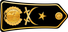 Algeria Navy عميد Amid insignia