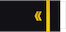 Suboficial mayor insignia