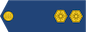 Insignia de Nooremleitnant