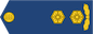 Insignia de Kolonelleitnant