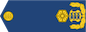 Insignia de Brigaadikindral