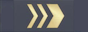 Insignia de Ülemveebel