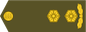 Insignia de Kolonelleitnant
