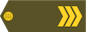 Insignia de Vanemveebel