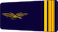 Major insignia