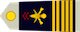 Colonel insignia