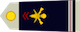 Adjudant insignia