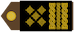 Insignia de Stožerni general
