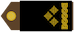 Insignia de Satnik
