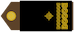 Insignia de Bojnik