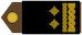 Insignia de Pukovnik