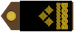 Insignia de Brigadir