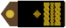 Insignia de Brigadni general