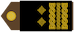 Insignia de General bojnik