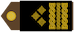Insignia de General pukovnik
