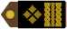 Insignia de General zbora