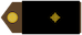 Insignia de Pozornik