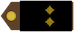 Insignia de Razvodnik