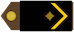 Insignia de Skupnik