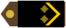 Insignia de Desetnik