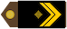 Insignia de Nadnarednik