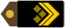 Insignia de Časnički namjesnik