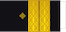 Insignia de Admiral flote