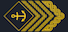 Insignia de Časnički namjesnik