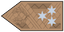 Insignia de Altábornagy
