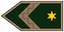 Insignia de Zászlós