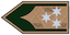 Insignia de Ezredes
