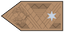 Insignia de Dandártábornok