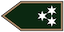 Insignia de Szakaszvezető