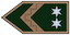Insignia de Törzsőrmester
