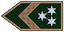 Insignia de Főtörzsőrmester