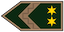 Insignia de Törzszászlós
