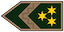 Insignia de Főtörzszászlós